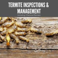 Dedant Building and Pest Inspections Brisbane image 3